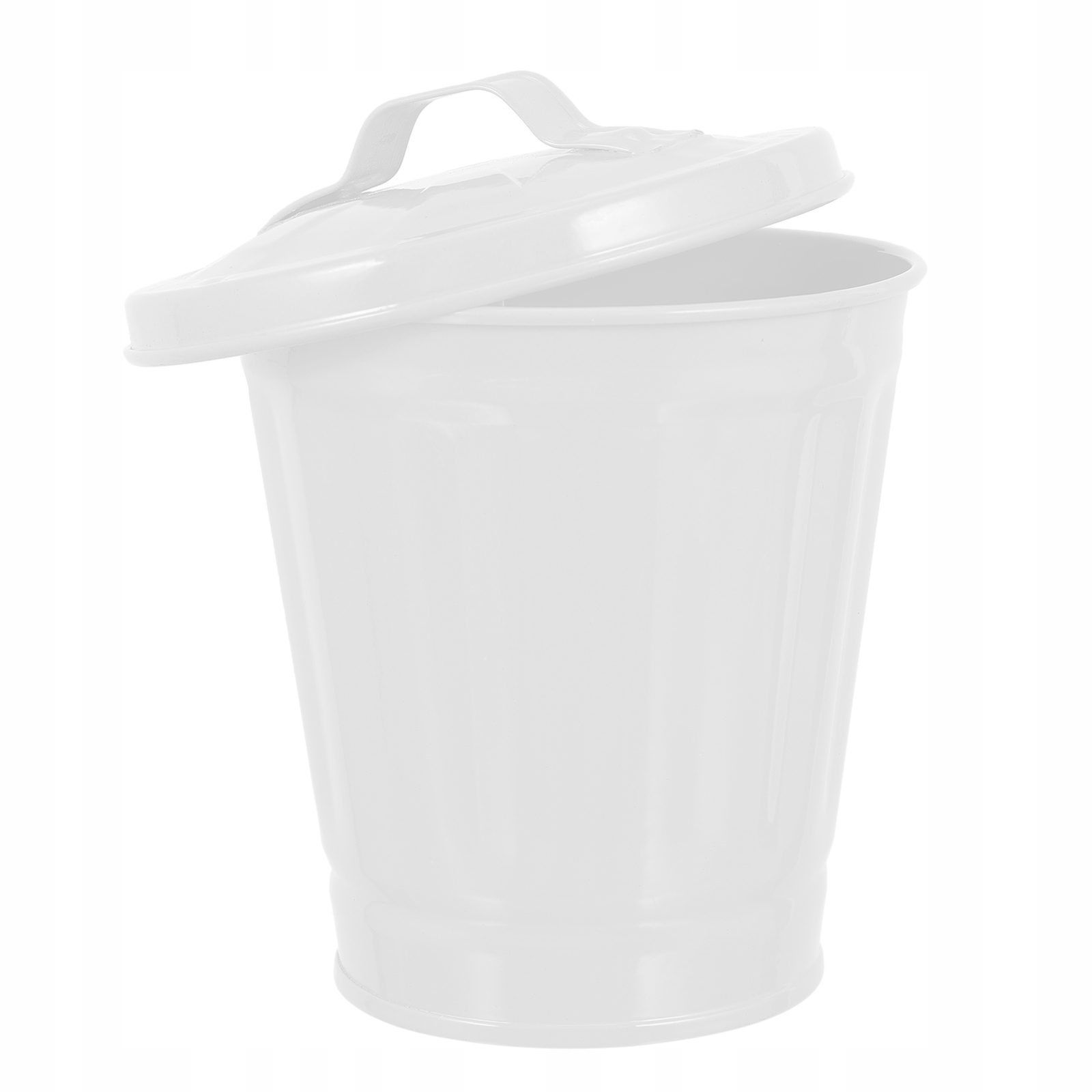 1 PC Desktop Storage Bin