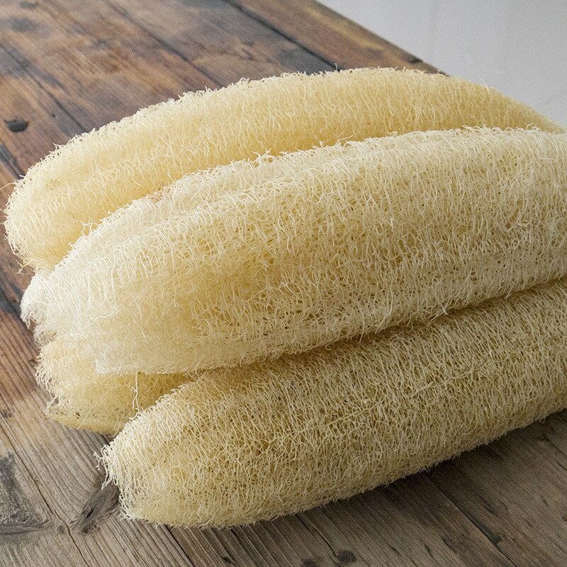 20-40 cm špongia od tronu po odlupujúcu kuchyňu
