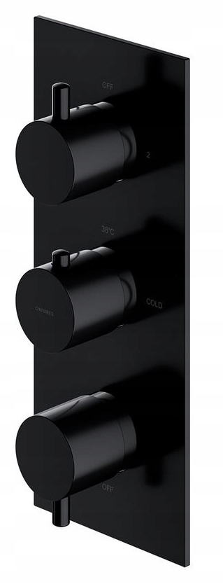 Black Flush -Mounted Flush -Mounted Sprchova batéria