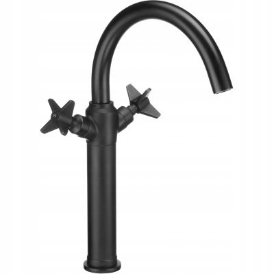 Deante Temisto High, Black Washbasin Faucet
