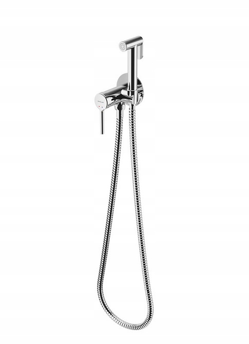 Vynikajúci PI Bidetta Chrome Bidet Area 18204Cr