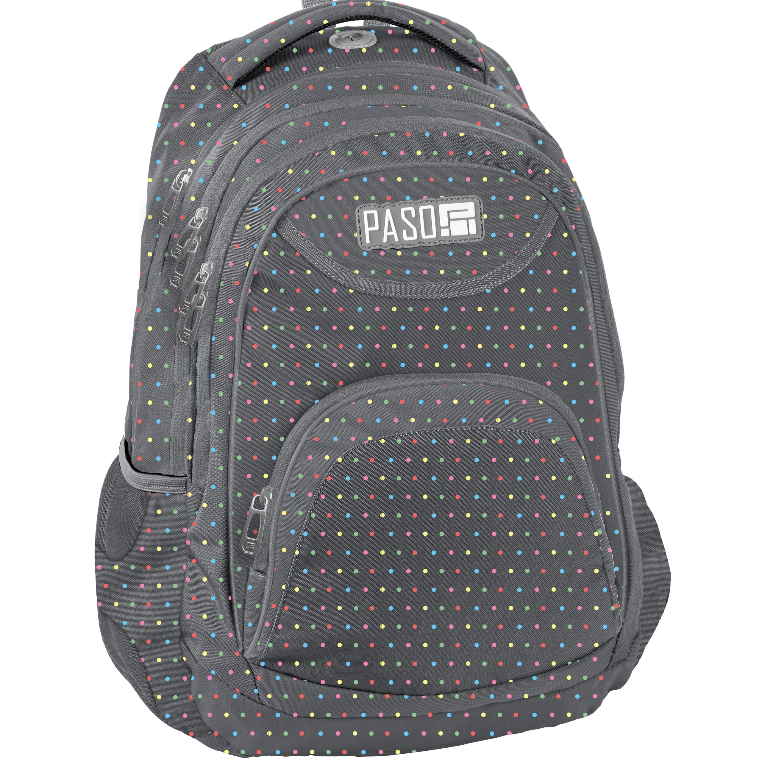 Multi -Chamber School Backpack Paso Shades of Grey a Silver, Multi -Colored 21 L